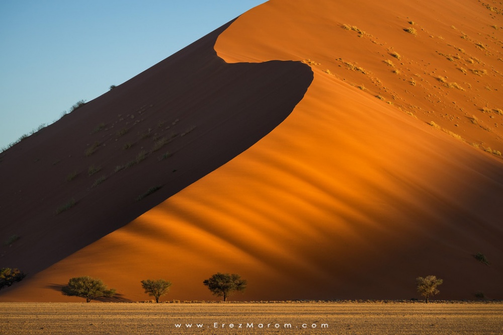 طلوع آفتاب در تلماسه‌های شنی بزرگ صحرای نامیب.