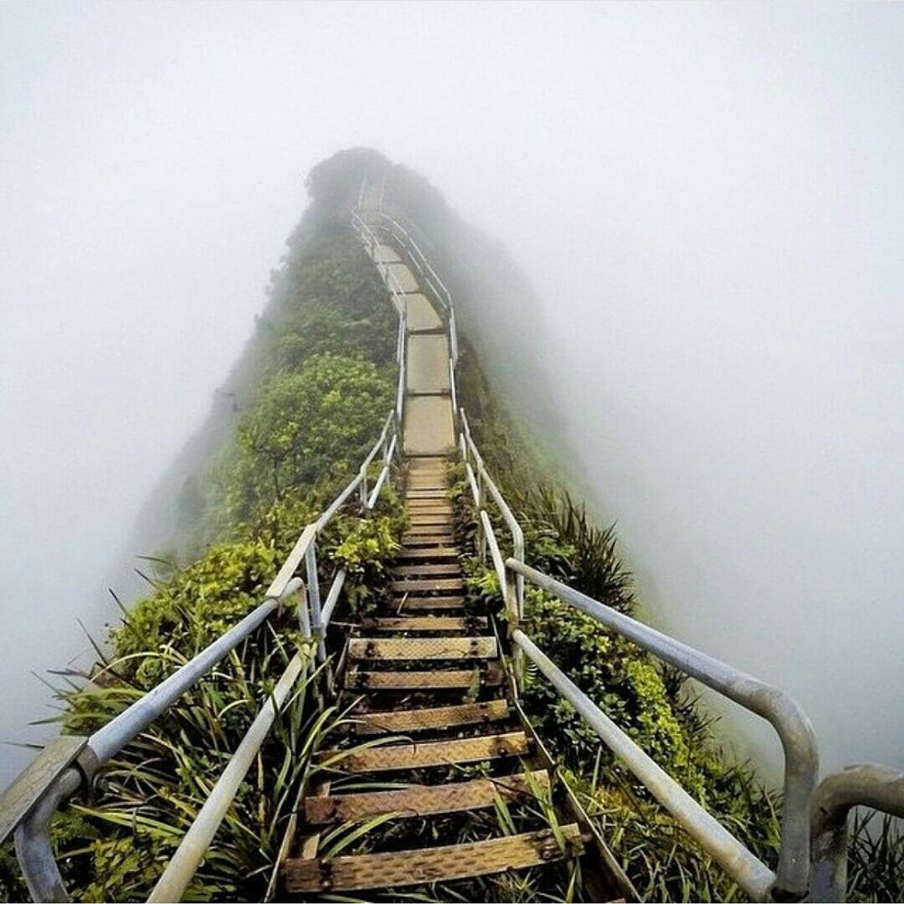 «پله‌پله تا بهشت» در هاوایی که روزگاری معروف بوده