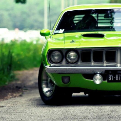 محمد فرزانه فر محمد فرزانه فر