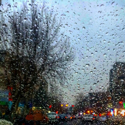 پریسا کسائی پریسا کسائی