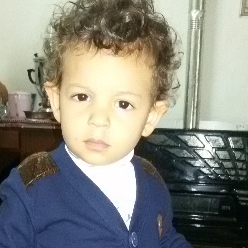 محمد احمدی محمد احمدی