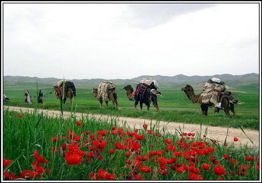 Khorasani Kurds
