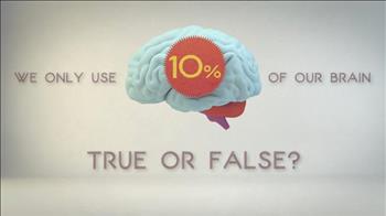 از چند درصد مغز خود استفاده می‌کنید؟