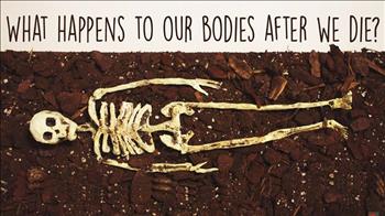 بعد از مرگ چه اتفاقی برای بدن ما می‌افتد؟!